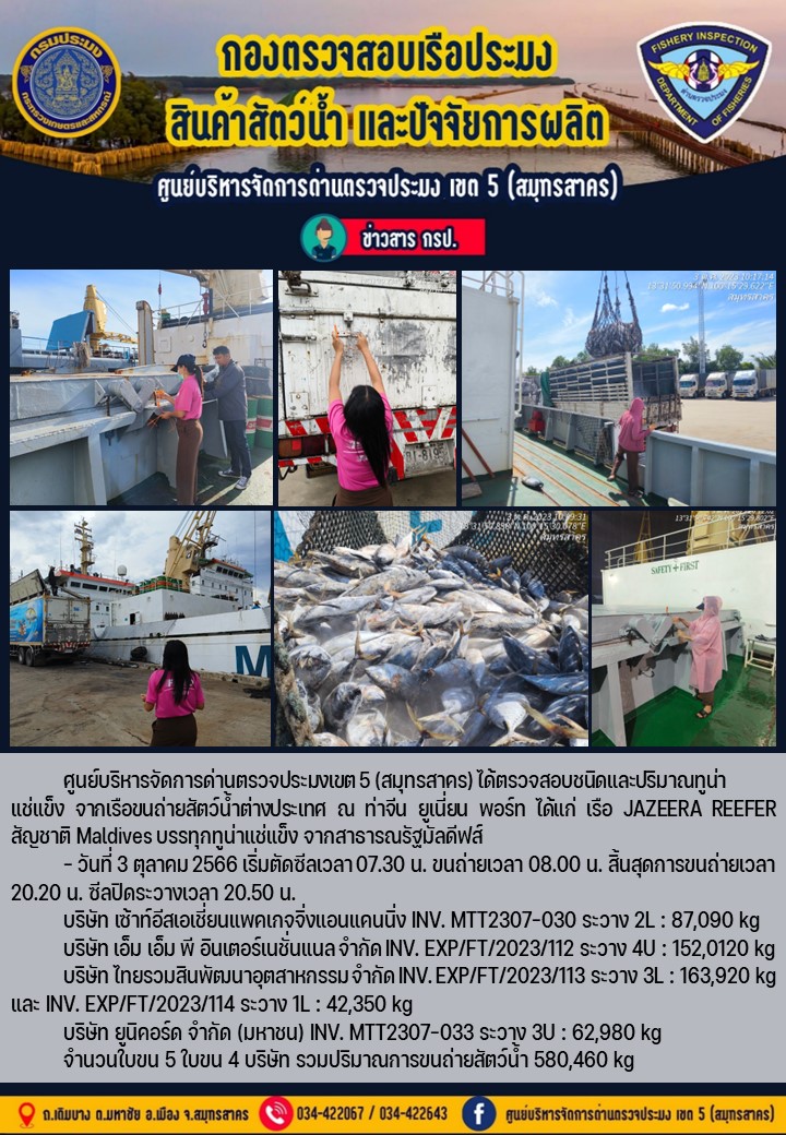 การขนถ่ายทูน่าแช่แข็งจากเรือขนถ่ายสัตว์น้ำ JAZEERA REEFER สัญชาติ Maldives บรรทุกทูน่าแช่แข็งจากประเทศมัลดีฟส์ วันที่ 3 ตุลาคม 2566..คลิก