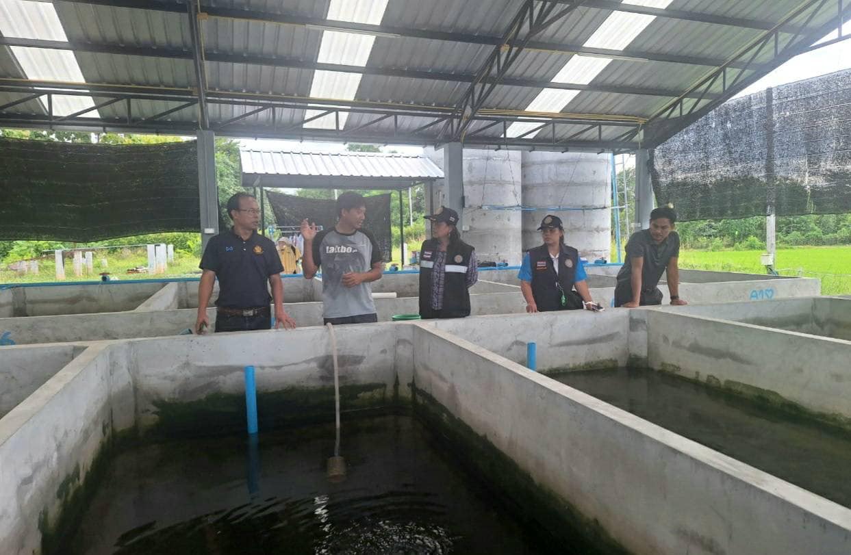 ลงพื้นที่รับฟังปัญหาการพบจระเข้ในบึงหนองอ้อและเข้าตรวจเยี่ยมฟาร์มเพาะเลี้ยงปลาสวยงาม..คลิก