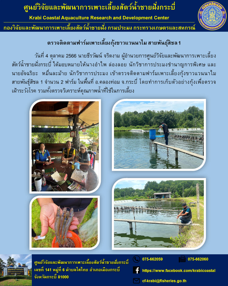ตรวจติดตามฟาร์มเพาะเลี้ยงกุ้งขาวแวนนาไม สายพันธุ์สิชล 1..คลิก