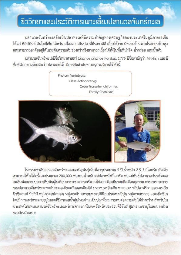 ชีววิทยาและประวัติการเพาะเลี้ยงปลานวลจันทร์ทะเล