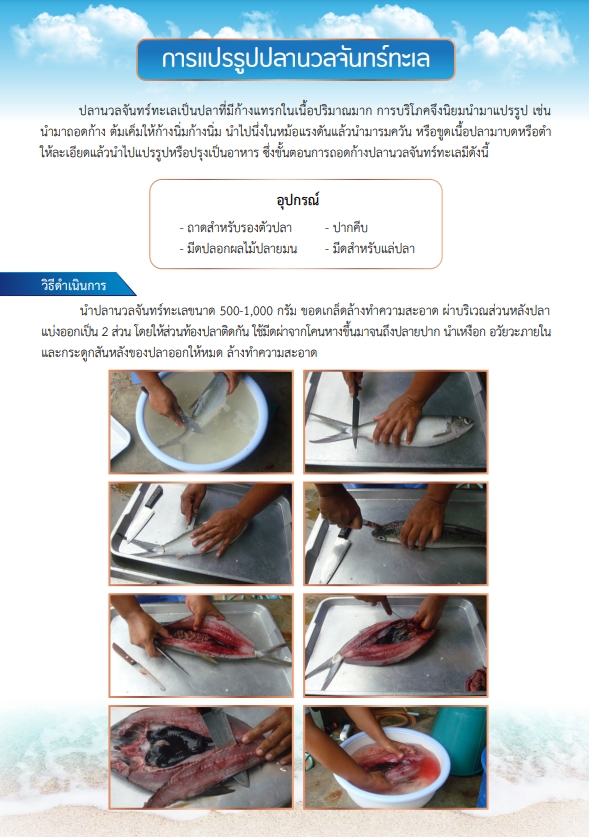 การแปรรูปปลานวลจันทร์ทะเล