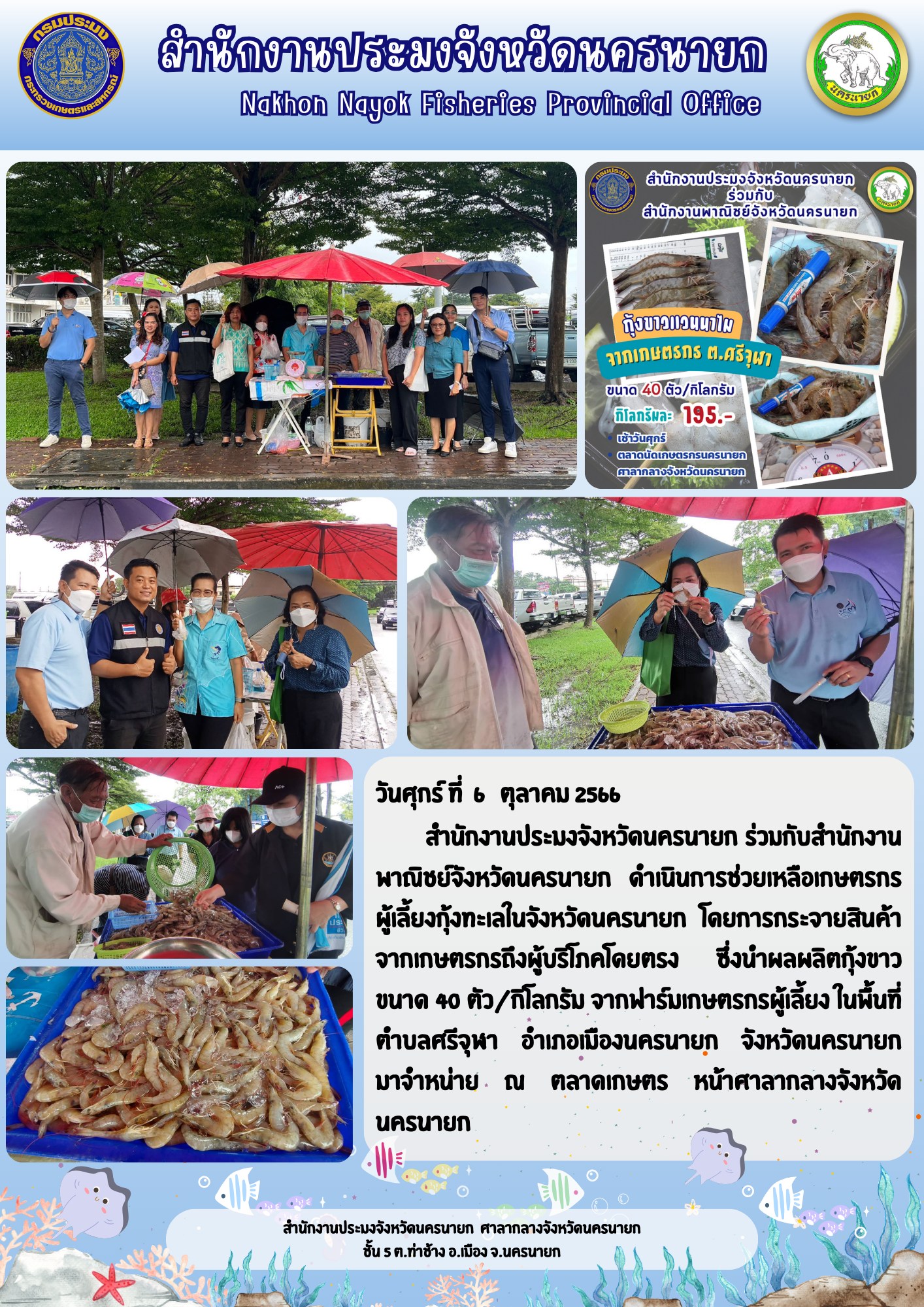 กุ้งขาวสดๆ จากบ่อเกษตรกรโดยตรง