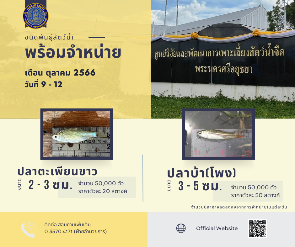 ชนิดพันธ์ุสัตว์น้ำพร้อมจำหน่าย (9 - 12 ตุลาคม 2566) ศพจ.พระนครศรีอยุธยา..คลิก