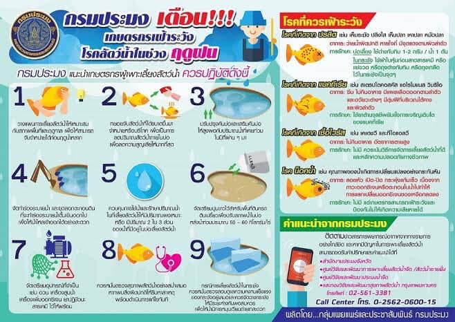 กรมประมง 