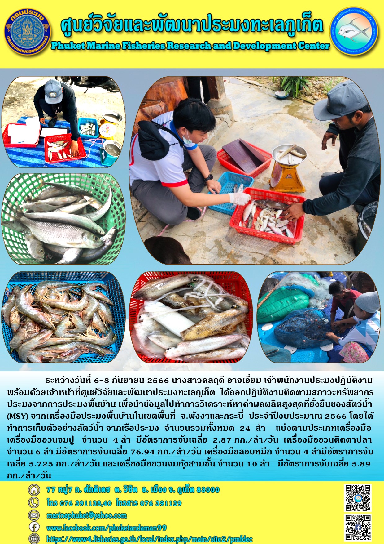 เมื่อวันที่ 6 – 8 กันยายน 2566 นางสาวดลฤดี อาจเอี่ยม เจ้าพนักงานประมงปฏิบัติงานพร้อมด้วยเจ้าหน้าที่ศูนย์วิจัยและพัฒนาประมงทะเลภูเก็ต ได้ออกปฏิบัติงานติดตามสภาวะทรัพยากรประมงจากการประมงพื้นบ้าน เพื่อนำข้อมูลไปทำการวิเคราะห์หาค่าผลผลิตสูงสุดที่ยั่งยืนของสัตย์น้ำ (MSY) จากเครื่องมือประมงพื้นบ้านในเขตพื้นที่ จ.พังงาและกระบี่ ประจำปีงบประมาณ 2566 โดยได้ทำการเก็บตัวอย่างสัตว์น้ำ จากเรื่อประมง จำนวนรวมทั้งหมด 24 ลำ แบ่งตามประเภทเครื่องมือ เครื่องมืออวนจมปู จำนวน 4 ลำ มีอัตราการจับเฉลีย 2.87 กก./ลำ/วัน เครื่องมืออวนติดตาปลา จำนวน 6 ลำ มีอัตราการจับเฉลี่ย 5.725 กก./ลำ/วัน และเครื่องมืออวนจมกุ้งสามชั้น จำนวน 10 ลำ มีอัตราการจับเฉลี่ย 5.89 กก./ลำ/วัน..คลิก