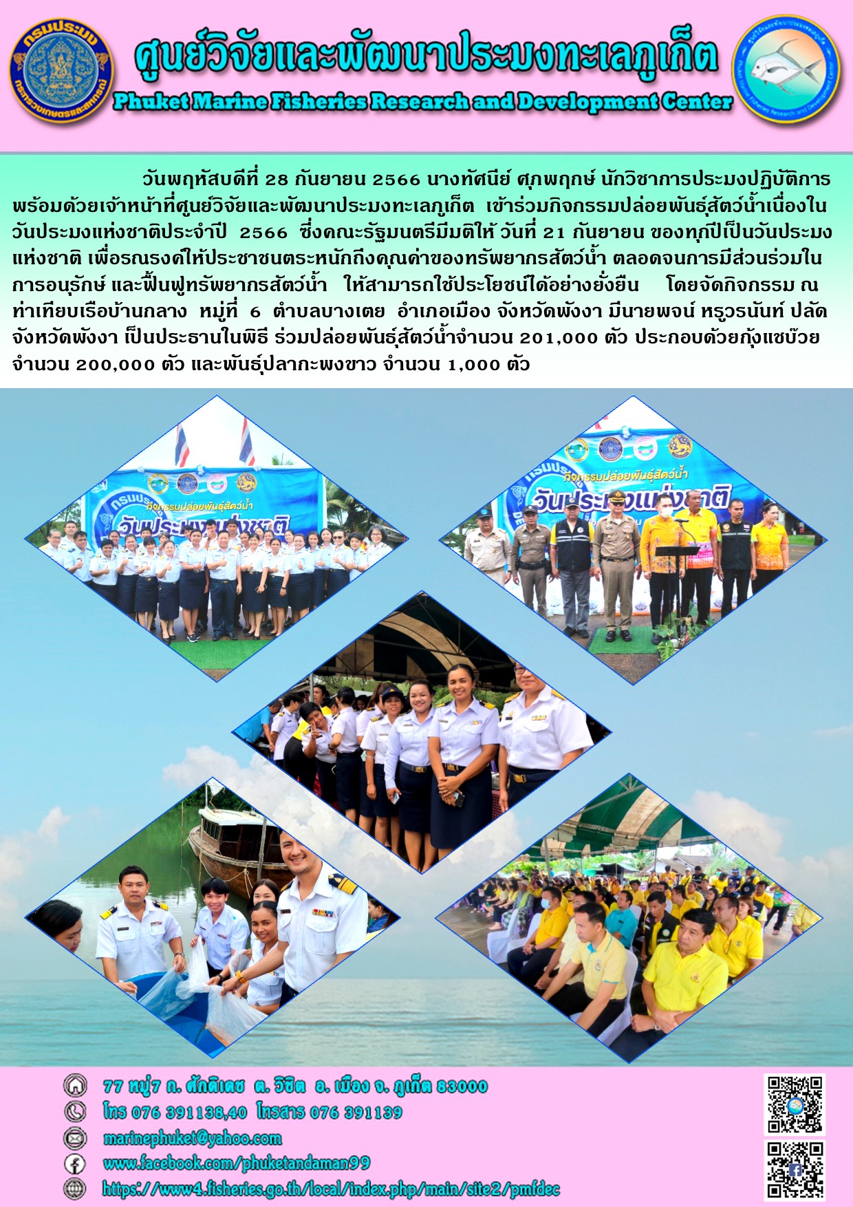 วันพฤหัสบดีที่ 28 กันยายน 2566 นางทัศนีย์ ศุภพฤกษ์ นักวิชาการประมงปฏิบัติการพร้อมด้วยเจ้าหน้าที่ศูนย์วิจัยและพัฒนาประมงทะเลภูเก็ต เข้าร่วมกิจกรรมปล่อยพันธุ์สัตว์น้ำเนื่องในวันประมงแห่งชาติประจำปี 2566 ซึ่งคณะรัฐมนตรี วันที่ 21กันยายน ของทุกปีเป็นวันประมงแห่งชาติ เพื่อรณรงค์ให้ประชาชนตระหนักถึงคุณค่าของทรัพยากรสัตว์น้ำ ตลอดจนการมีส่วนร่วมในการอนุรักษ์ และฟื้นฟูทรัพยากรสัตว์น้ำ ให้สามารถใช้ประโยชน์ได้อย่างยั่งยืน โดยจัดกิจกรรม ณ ท่าเทียบเรือบ้านกลาง หมู่ที่ 6 ตำบลบางเตย อำเภอเมือง จังหวัดพังงา 201,000 ตัว ประกอบด้วยกุ้งแชบ๊วย จำนวน 200,000 ตัว และพันธุ์ปลากะพงขาว จำนวน 1,000 ตัว..คลิก