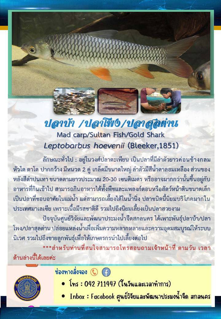 ข่าวประชาสัมพันธ์