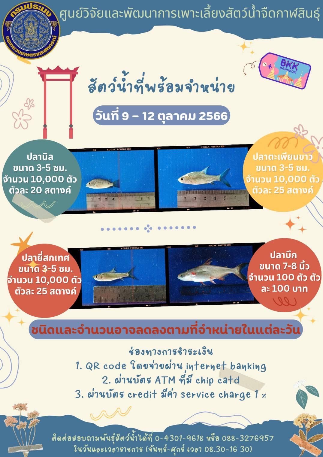 พันธุ์สัตว์น้ำที่พร้อมจำหน่ายประจำสัปดาห์