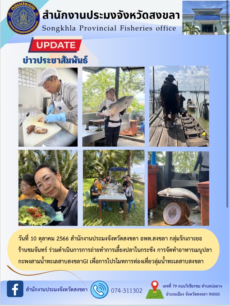 สำนักงานประมงจังหวัดสงขลา อพท.สงขลา กลุ่มรักเกาะยอ ร้านชมจันทร์ ร่วมดำเนินการการถ่ายทำการเลี้ยงปลาในกระชัง การจัดทำอาหารเมนูปลากะพงสามน้ำทะเลสาบสงขลาGI เพื่อการโปรโมทการท่องเที่ยวลุ่มน้ำทะเลสาบสงขลา..คลิก