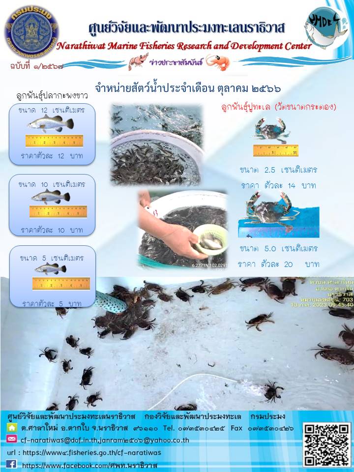 ชนิดสัตว์น้ำที่จำหน่ายประจำเดือน ตุลาคม 2566..คลิก