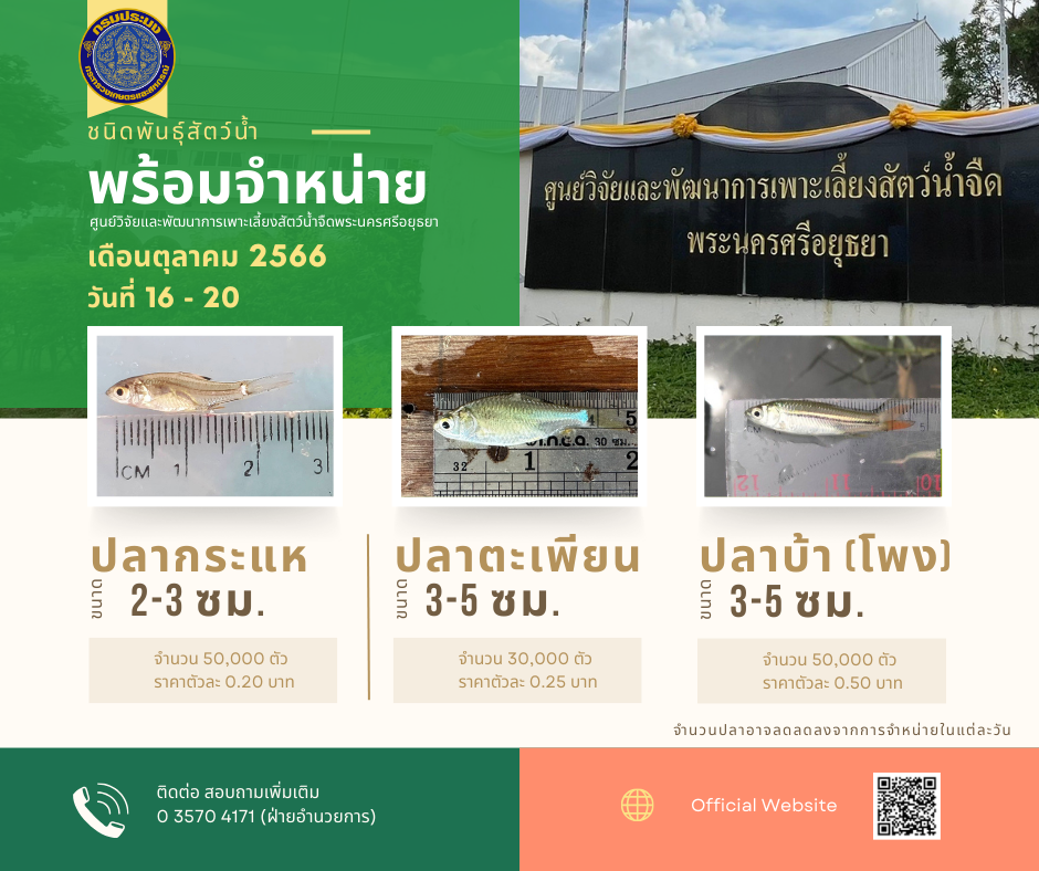 ชนิดพันธ์ุสัตว์น้ำพร้อมจำหน่าย (16 - 20 ตุลาคม 2566) ศพจ.พระนครศรีอยุธยา..คลิก