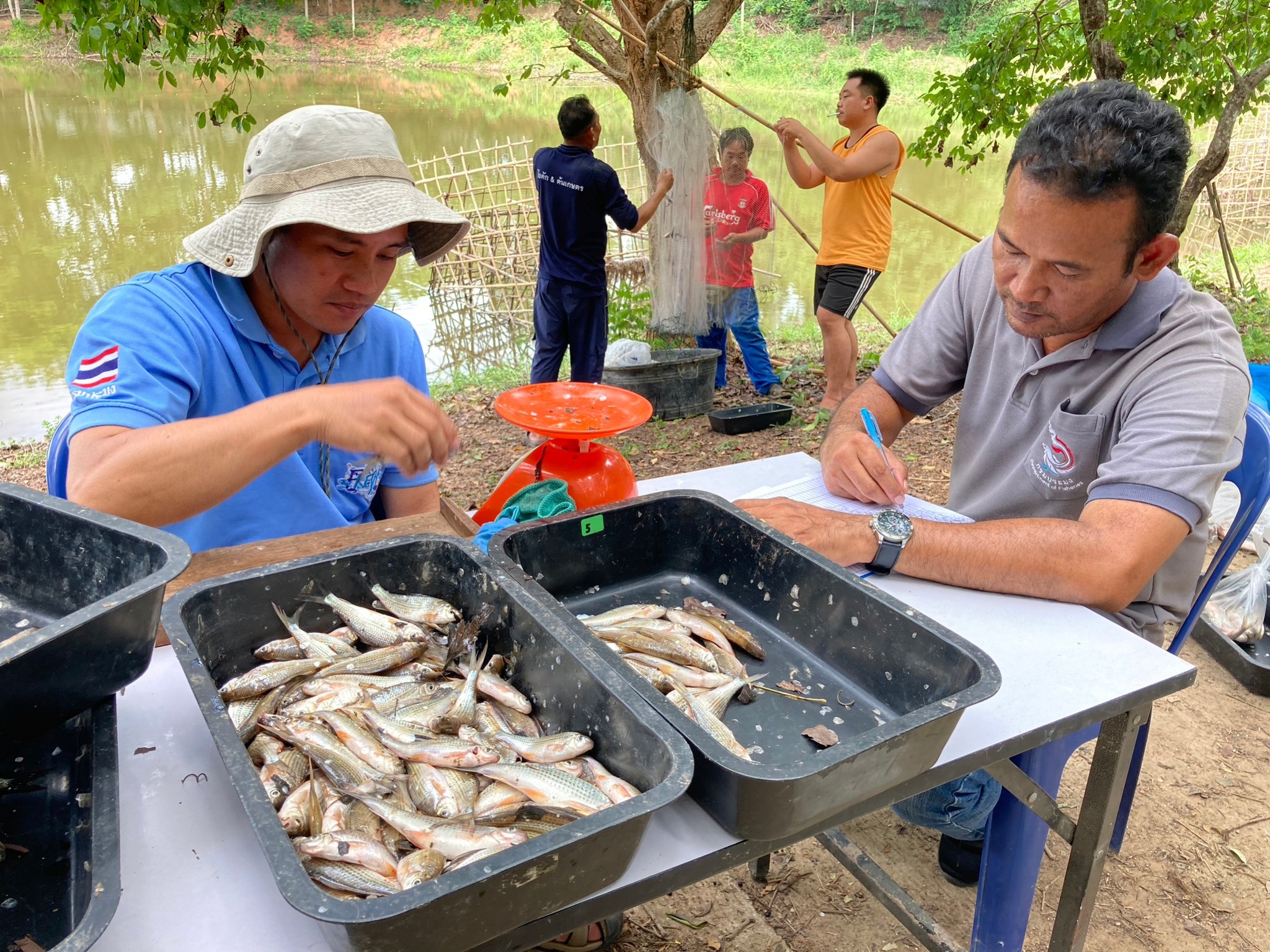 โครงการธนาคารสินค้าเกษตร (กิจกรรมการสนับสนุนธนาคารผลผลิตสัตว์น้ำแบบมีส่วนร่วม) ประจำปีงบประมาณ พ.ศ.2566..คลิก