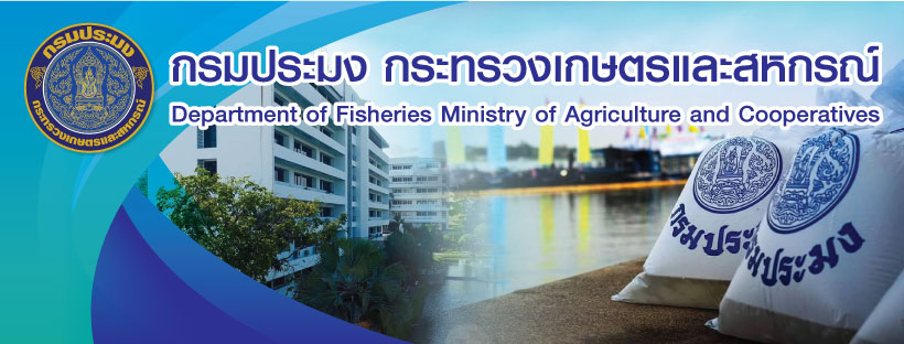 แบนเนอร์