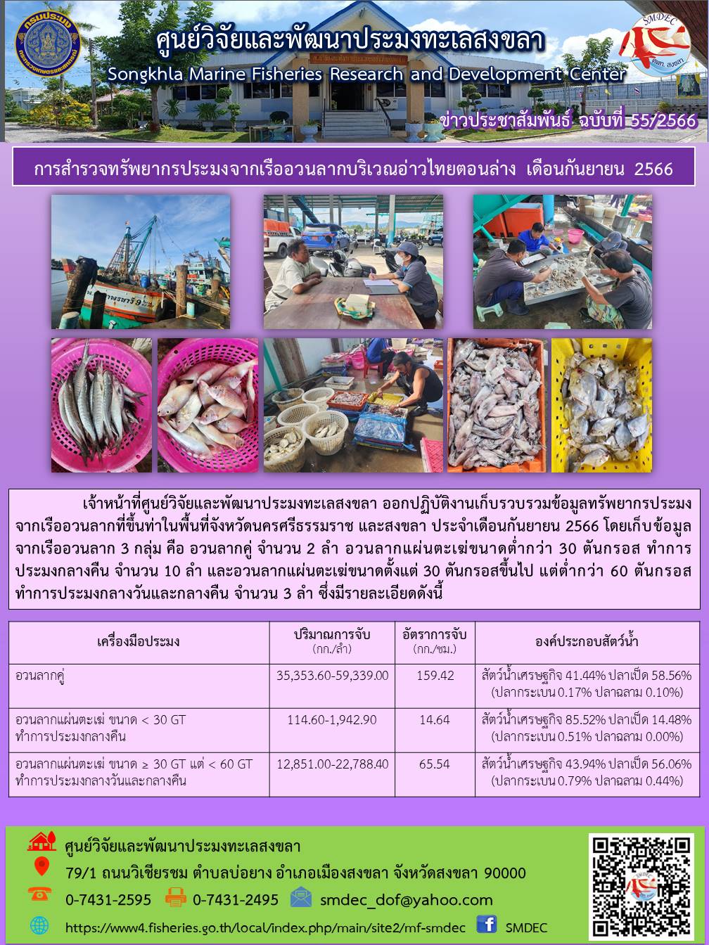 เจ้าหน้าที่ศูนย์วิจัยและพัฒนาประมงทะเลสงขลา ออกปฏิบัติงานเก็บรวบรวมข้อมูลทรัพยากรประมงจากเรืออวนลากที่ขึ้นท่าในพื้นที่จังหวัดนครศรีธรรมราช และสงขลา ประจำเดือนกันยายน 2566 โดยเก็บข้อมูลจากเรืออวนลาก 3 กลุ่ม คือ อวนลากคู่ จำนวน 2 ลำ อวนลากแผ่นตะเฆ่ขนาดต่ำกว่า 30 ตันกรอส ทำการประมงกลางคืน จำนวน 10 ลำ และอวนลากแผ่นตะเฆ่ขนาดตั้งแต่ 30 ตันกรอสขึ้นไป แต่ต่ำกว่า 60 ตันกรอส ทำการประมงกลางวันและกลางคืน จำนวน 3 ลำ ซึ่งมีรายละเอียดดังนี้..คลิก