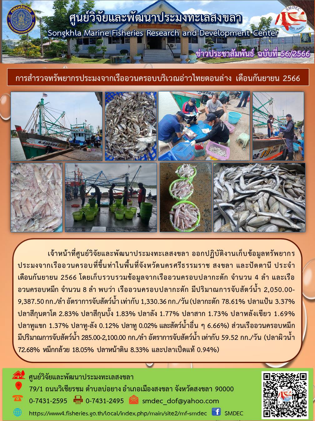 เจ้าหน้าที่ศูนย์วิจัยและพัฒนาประมงทะเลสงขลา ออกปฏิบัติงานเก็บรวบรวมข้อมูลทรัพยากรประมงจากเรืออวนครอบที่ขึ้นท่าในพื้นที่จังหวัดนครศรีธรรมราช สงขลา และปัตตานี ประจำเดือนกันยายน 2566 โดยเก็บรวบรวมข้อมูลจากเรืออวนครอบปลากะตัก จำนวน 4 ลำ และเรืออวนครอบหมึก จำนวน 8 ลำ พบว่า เรืออวนครอบปลากะตักมีปริมาณการจับสัตว์น้ำ 2,050.00-9,387.50 กก./ลำ อัตราการจับสัตว์น้ำ เท่ากับ 1,330.36 กก./วัน (ปลากะตัก 78.61% ปลาแป้น 3.37% ปลาสีกุนตาโต 2.83% ปลาสีกุนบั้ง 1.83 ปลาลัง 1.77% ปลาสาก 1.73% ปลาหลังเขียว 1.69% ปลาทูแขก 1.37% ปลาทู-ลัง 0.12% ปลาทู 0.02% และสัตว์น้ำอื่นๆ 6.66%) ส่วนเรืออวนครอบหมึกมีปริมาณการจับสัตว์น้ำ 285.00-2,100.00 กก./ลำ อัตราการจับสัตว์น้ำ เท่ากับ 59.52 กก./วัน (ปลาผิวน้ำ 72.68% หมึกกล้วย 18.05% ปลาหน้าดิน 8.33% และปลาเป็ดแท้ 0.94%)..คลิก