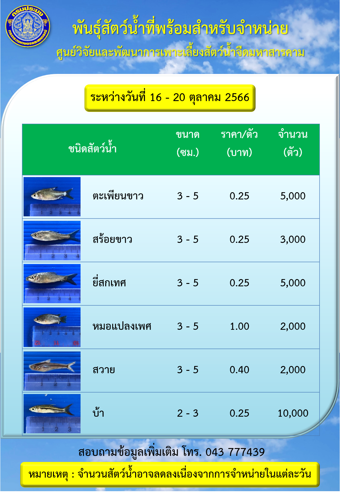 พันธุ์สัตว์น้ำที่พร้อมสำหรับจำหน่าย ระหว่างวันที่ 16 – 20 ตุลาคม 2566..คลิก
