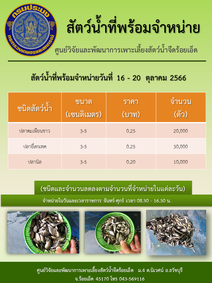 สัตว์น้ำที่พร้อมจำหน่ายวันที่ 16-20  ตุลาคม  2566..คลิก