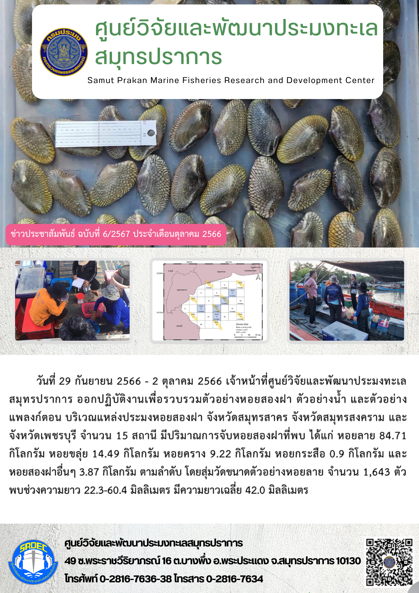 วันที่ 29 กันยายน 2566 – 2 ตุลาคม 2566 เจ้าหน้าที่ศูนย์วิจัยและพัฒนาประมงทะเลสมุทรปราการ ออกปฏิบัติงานเพื่อรวบรวมตัวอย่างหอยสองฝา ตัวอย่างน้ำ และตัวอย่างแพลงก์ตอน บริเวณแหล่งประมงหอยสองฝา จังหวัดสมุทรสาคร จังหวัดสมุทรสงคราม และจังหวัดเพชรบุรี จำนวน 15 สถานี มีปริมาณการจับหอยสองฝาที่พบ ได้แก่ หอยลาย 84.71 กิโลกรัม หอยขลุ่ย 14.49 กิโลกรัม หอยคราง 9.22 กิโลกรัม หอยกระสือ 0.9 กิโลกรัม และหอยสองฝาอื่นๆ 3.87 กิโลกรัม ตามลำดับ โดยสุ่มวัดขนาดตัวอย่างหอยลาย จำนวน 1,643 ตัว พบช่วงความยาว 22.3-60.4 มิลลิเมตร มีความยาวเฉลี่ย 42.0 มิลลิเมตร