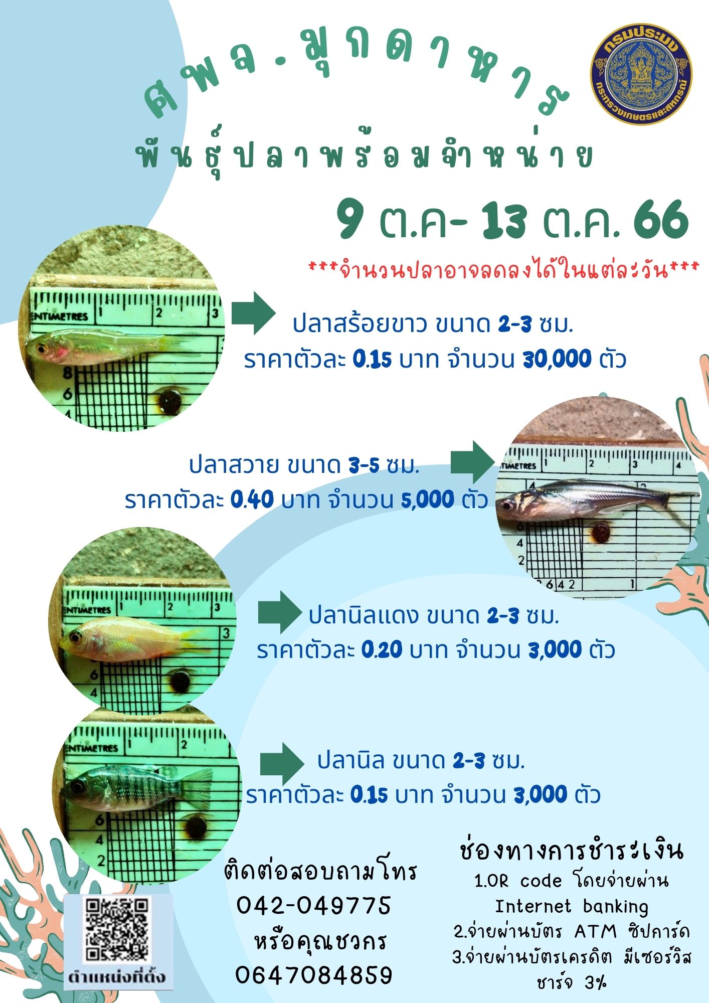 ลูกพันธุ์สัตว์น้ำพร้อมจำหน่าย ระหว่างวันที่ 9 ต.ค.-13 ต.ค. 66..คลิก