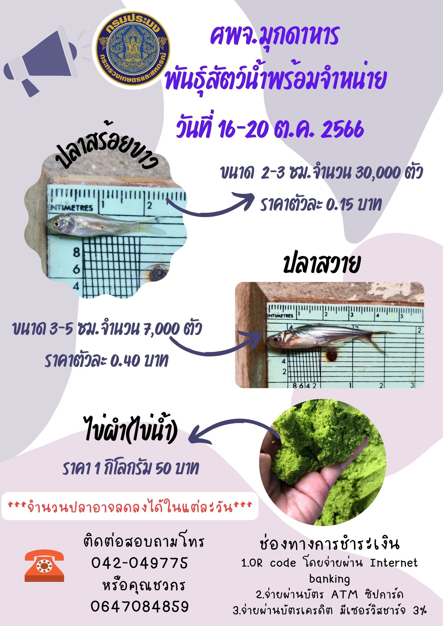 ลูกพันธุ์สัตว์น้ำพร้อมจำหน่าย ระหว่างวันที่ 16 ต.ค.-20 ต.ค. 66..คลิก