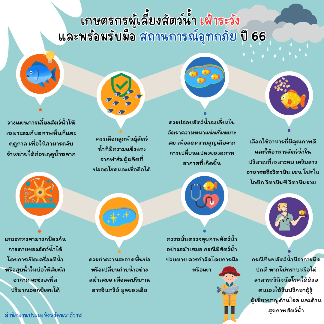 พื้นที่จังหวัดนราธิวาสเข้าสู่ฤดูฝน จึงมีลมมรสุมตะวันตกเฉียงเหนือพัดปกคลุมประเทศไทย ทำให้มีฝนตกชุกต่อเนื่องไปจนถึงเดือนมกราคมของทุกปี..คลิก