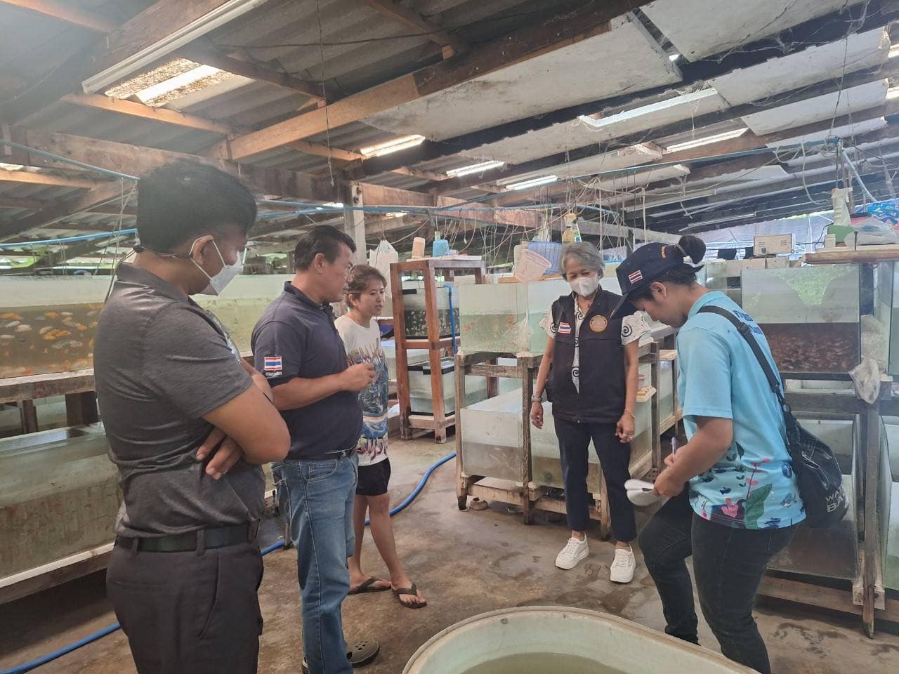ลงพื้นที่เพื่อดำเนินการตรวจประเมินเพื่อขอหนังสือรับรองสถานที่ทำการเพาะเลี้ยงสัตว์น้ำชนิดที่ใกล้สูญพันธุ์จากธรรมชาติเพื่อการส่งออก ตามมาตรา 65 แห่งพระราชกำหนดการประมง 2558 และที่แก้ไขเพิ่มเติม