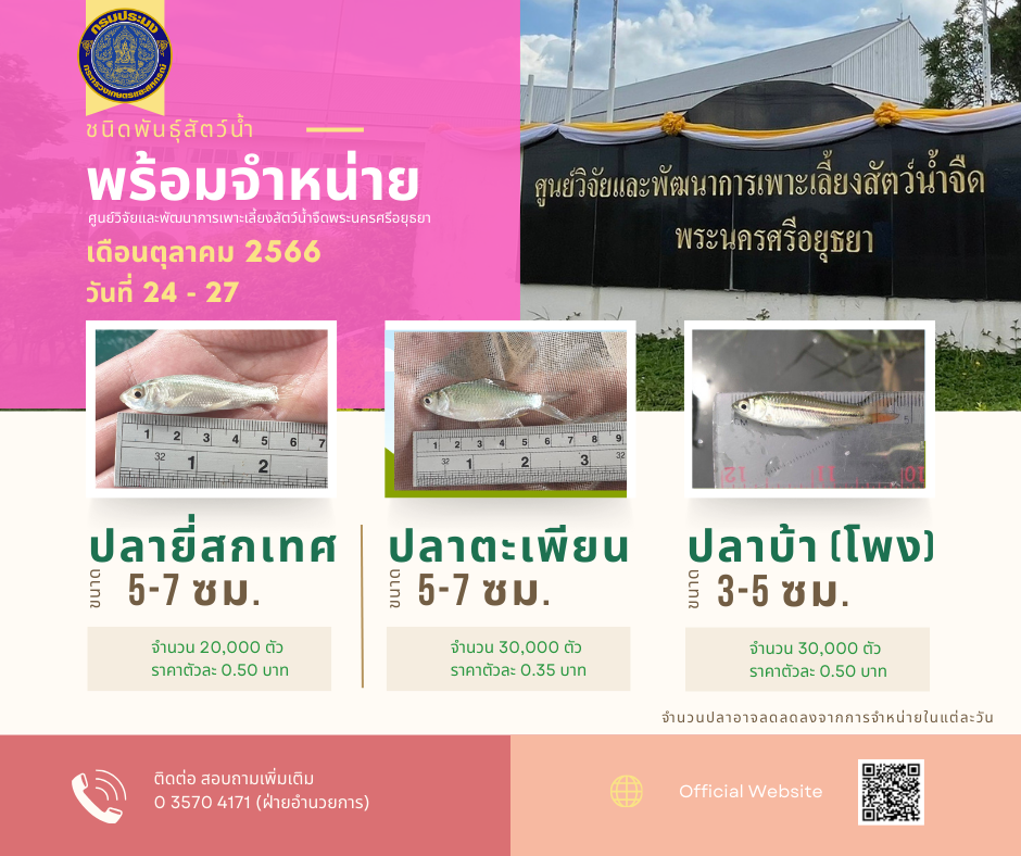 ชนิดพันธ์ุสัตว์น้ำพร้อมจำหน่าย (24 - 27 ตุลาคม 2566) ศพจ.พระนครศรีอยุธยา..คลิก
