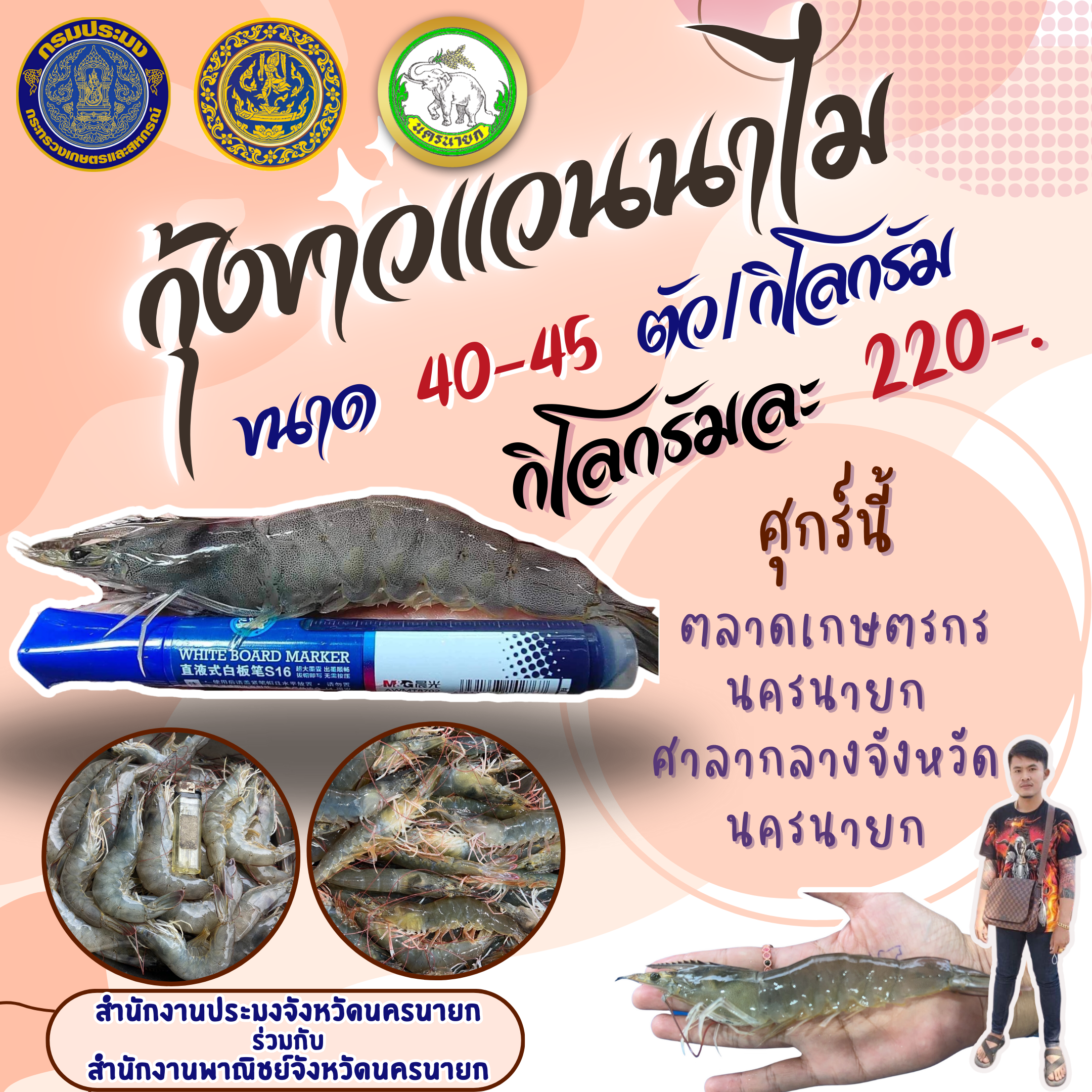 ????กุ้งงง จ้า กุ้งงงง???? กุ้งสดๆ จากเกษตรกรโดยตรง ????  นำมาจำหน่ายแล้วที่ ตลาดเกษตรนครนายก หน้าศาลากลางจังหวัดนครนายก ในวันศุกร์ที่ 20 ตุลาคม 2566 นี้ ????