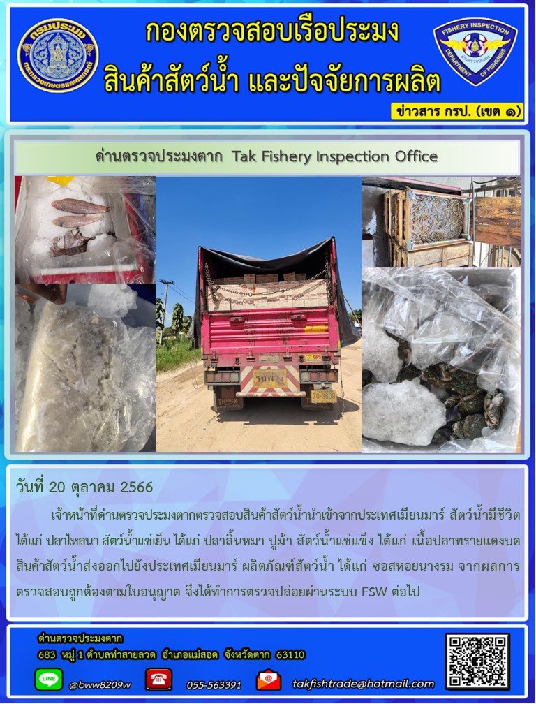 วันที่ 20 ตุลาคม 2566           เจ้าหน้าที่ด่านตรวจประมงตากตรวจสอบสินค้าสัตว์น้ำนำเข้าจากประเทศเมียนมาร์ สัตว์น้ำมีชีวิต ได้แก่ ปลาไหลนา สัตว์น้ำแช่เย็น ได้แก่ ปลาลิ้นหมา ปูม้า สัตว์น้ำแช่แข็ง ได้แก่ เนื้อปลาทรายแดงบด สินค้าสัตว์น้ำส่งออกไปยังประเทศเมียนมาร์ ผลิตภัณฑ์สัตว์น้ำ ได้แก่ ซอสหอยนางรม จากผลการตรวจสอบถูกต้องตามใบอนุญาต จึงได้ทำการตรวจปล่อยผ่านระบบ FSW ต่อไป..คลิก
