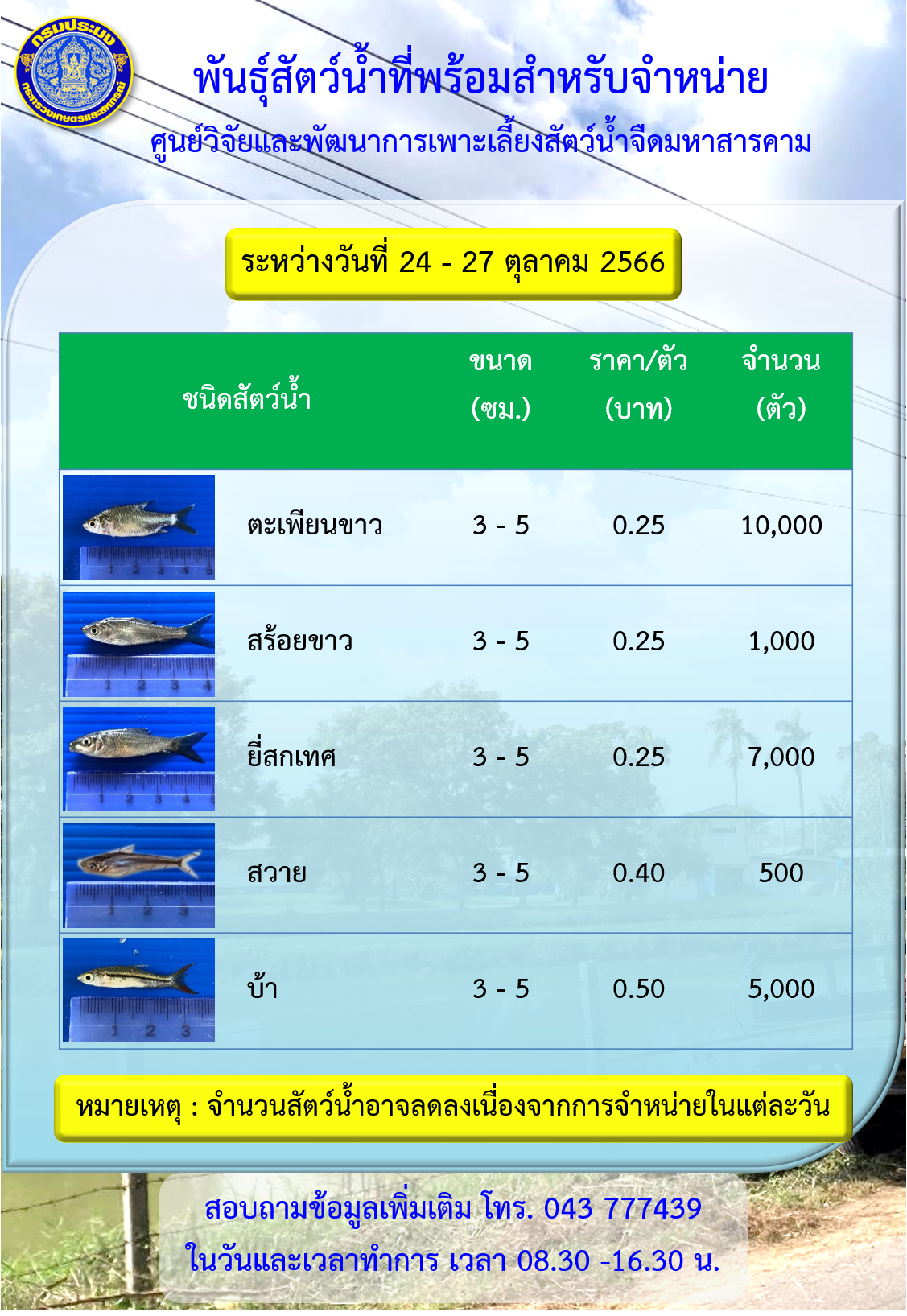 พันธุ์สัตว์น้ำที่พร้อมสำหรับจำหน่าย ระหว่างวันที่ 24 – 27 ตุลาคม 2566..คลิก