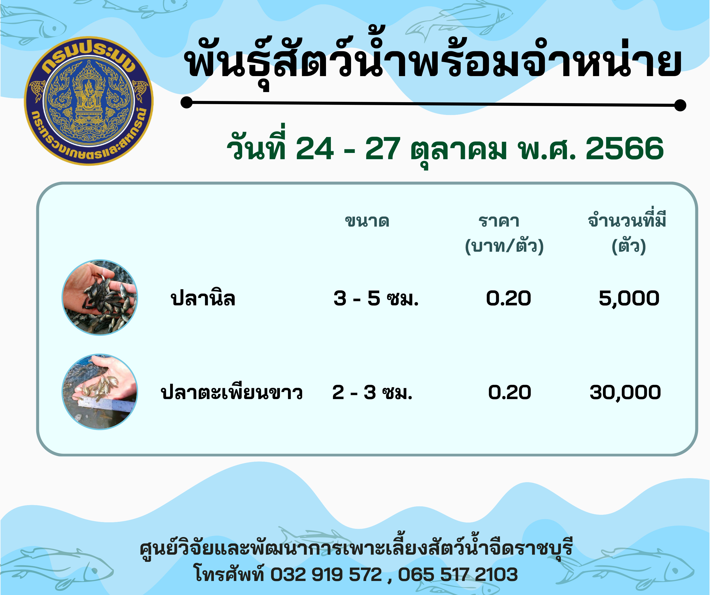 ลูกพันธุ์สัตว์น้ำพร้อมจำหน่าย ประจำวันที่ 24 - 27 ตุลาคม พ.ศ. 2566..คลิก