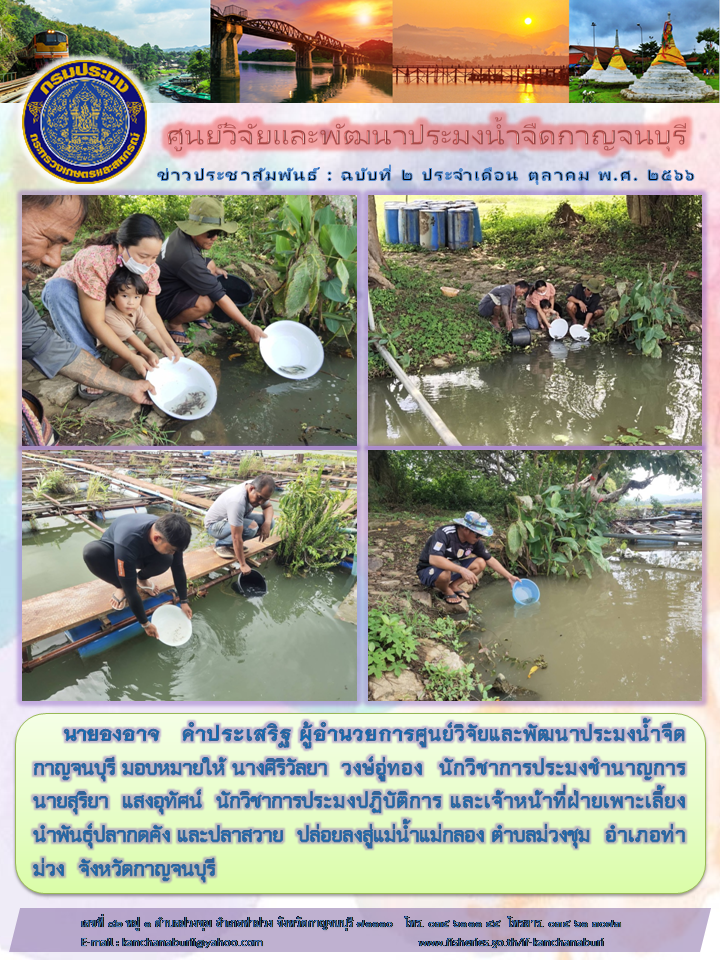ศูนย์วิจัยและพัฒนาประมงน้ำจืดกาญจนบุรี ปล่อยพันธุ์สัตว์ปลากดคังและปลาสวายลงสู่แม่น้ำแม่กลอง ตำบลม่วงชุม อำเภอท่าม่วง จังหวัดกาญจนบุรี..คลิก