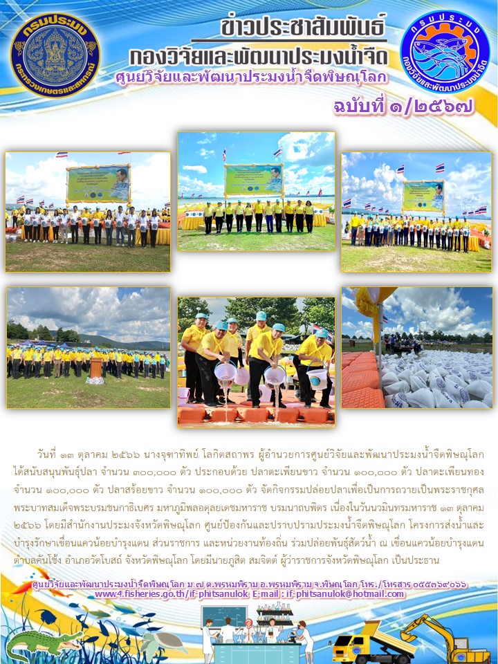 ศูนย์วิจัยและพัฒนาประมงน้ำจืดพิษณุโลก ได้สนับสนุนพันธุ์ปลา จำนวน 300,000 ตัว เพื่อปล่อยในวันนวมินทรมหาราช 13 ตุลาคม 2566