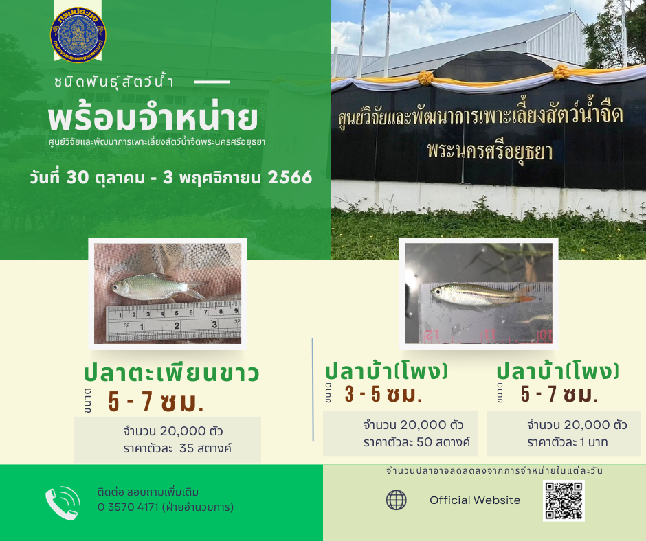 ชนิดพันธ์ุสัตว์น้ำพร้อมจำหน่าย (30 ตุลาคม - 3 พฤศจิกายน 2566) ศพจ.พระนครศรีอยุธยา..คลิก