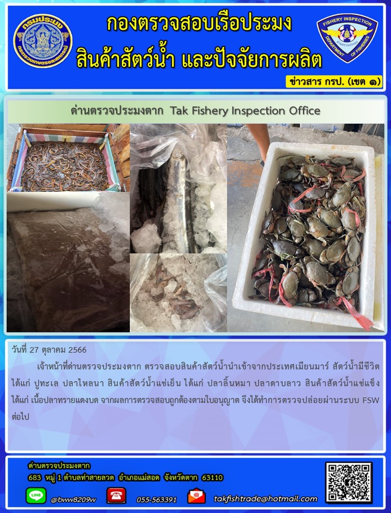 วันที่ 27 ตุลาคม 2566     เจ้าหน้าที่ด่านตรวจประมงตาก ตรวจสอบสินค้าสัตว์น้ำนำเข้าจากประเทศเมียนมาร์ สัตว์น้ำมีชีวิตได้แก่ ปูทะเล ปลาไหลนา สินค้าสัตว์น้ำแช่เย็น ได้แก่ ปลาลิ้นหมา ปลาดาบลาว สินค้าสัตว์น้ำแช่แข็ง ได้แก่ เนื้อปลาทรายแดงบด จากผลการตรวจสอบถูกต้องตามใบอนุญาต จึงได้ทำการตรวจปล่อยผ่านระบบ FSW ต่อไป..คลิก