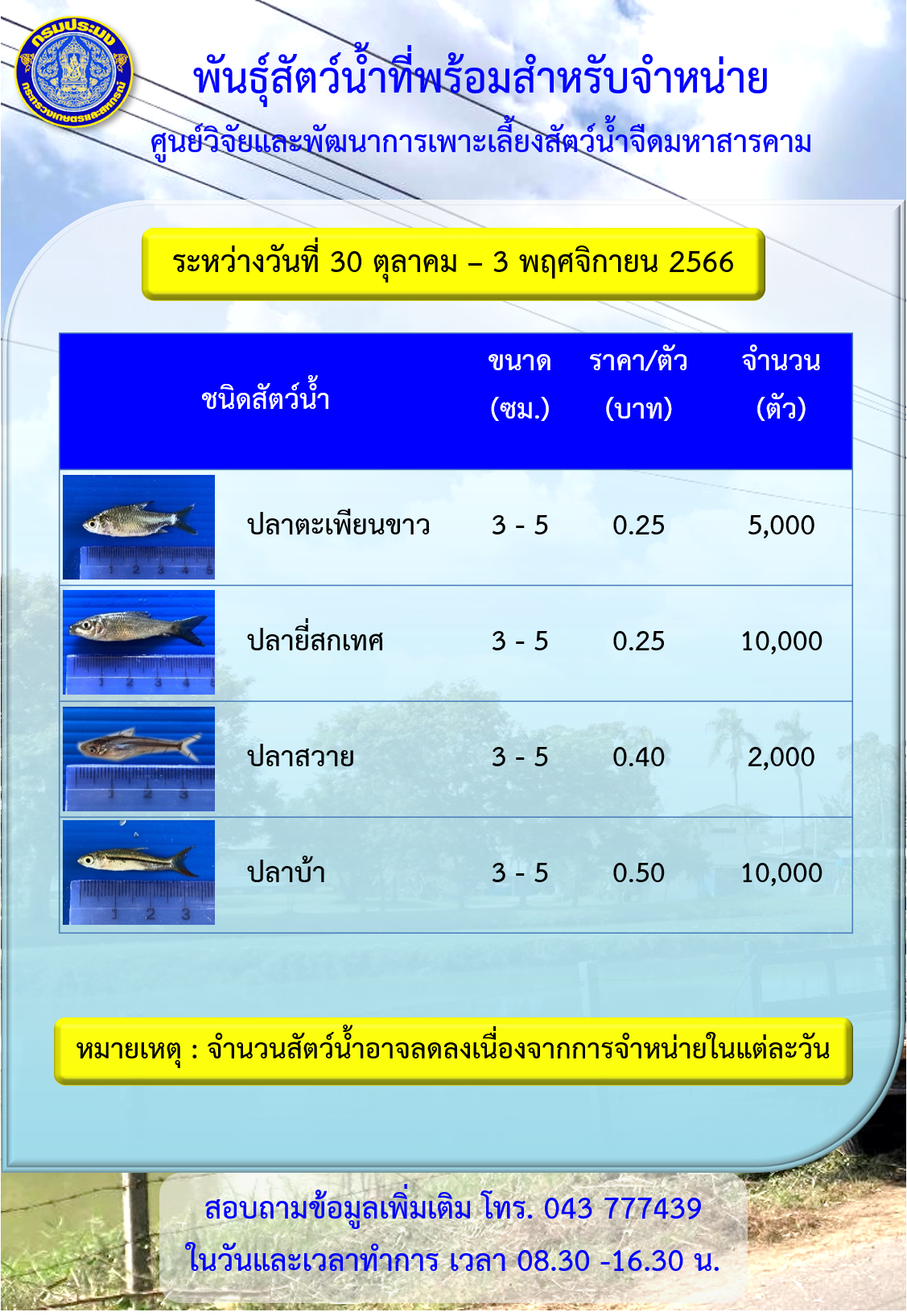 พันธุ์สัตว์น้ำที่พร้อมสำหรับจำหน่าย ระหว่างวันที่ 30 ตุลาคม - 3 พฤศจิกายน 2566..คลิก