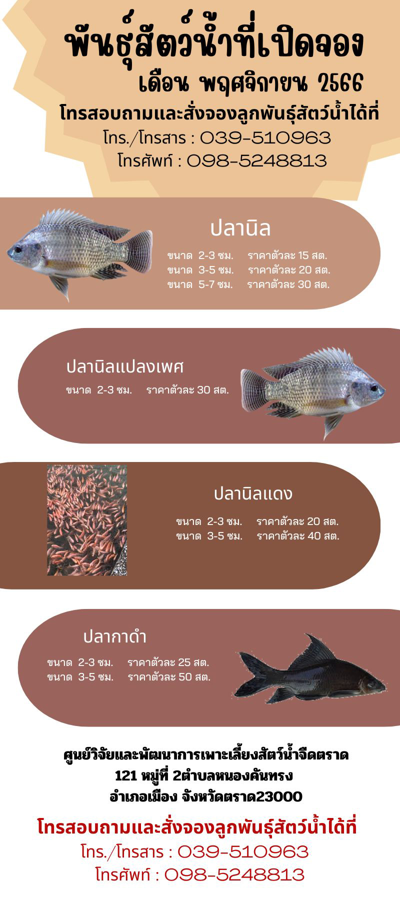 พันธุ์สัตว์น้ำที่เปิดให้จอง ในเดือน พฤศจิกายน 2566