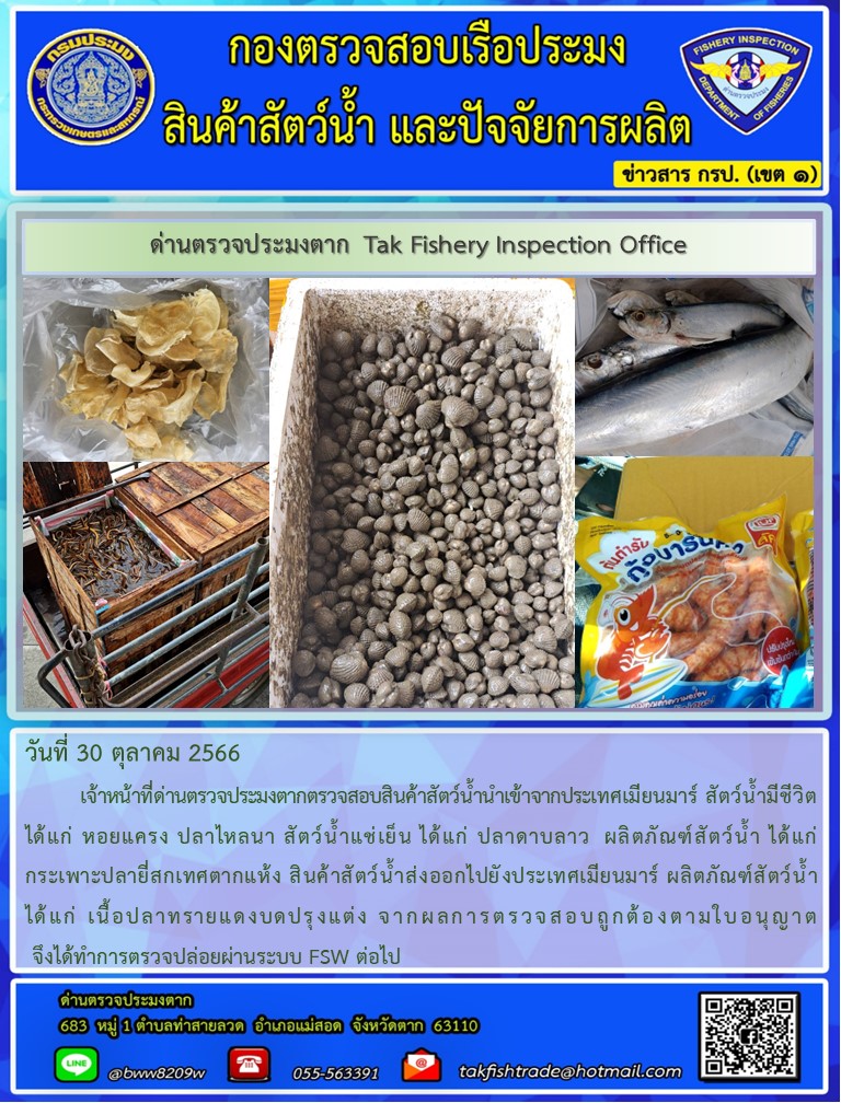 วันที่ 30 ตุลาคม 2566           เจ้าหน้าที่ด่านตรวจประมงตากตรวจสอบสินค้าสัตว์น้ำนำเข้าจากประเทศเมียนมาร์ สัตว์น้ำมีชีวิต ได้แก่ หอยแครง ปลาไหลนา สัตว์น้ำแช่เย็น ได้แก่ ปลาดาบลาว  ผลิตภัณฑ์สัตว์น้ำ ได้แก่ กระเพาะปลายี่สกเทศตากแห้ง สินค้าสัตว์น้ำส่งออกไปยังประเทศเมียนมาร์ ผลิตภัณฑ์สัตว์น้ำ ได้แก่ เนื้อปลาทรายแดงบดปรุงแต่ง จากผลการตรวจสอบถูกต้องตามใบอนุญาต จึงได้ทำการตรวจปล่อยผ่านระบบ FSW ต่อไป..คลิก