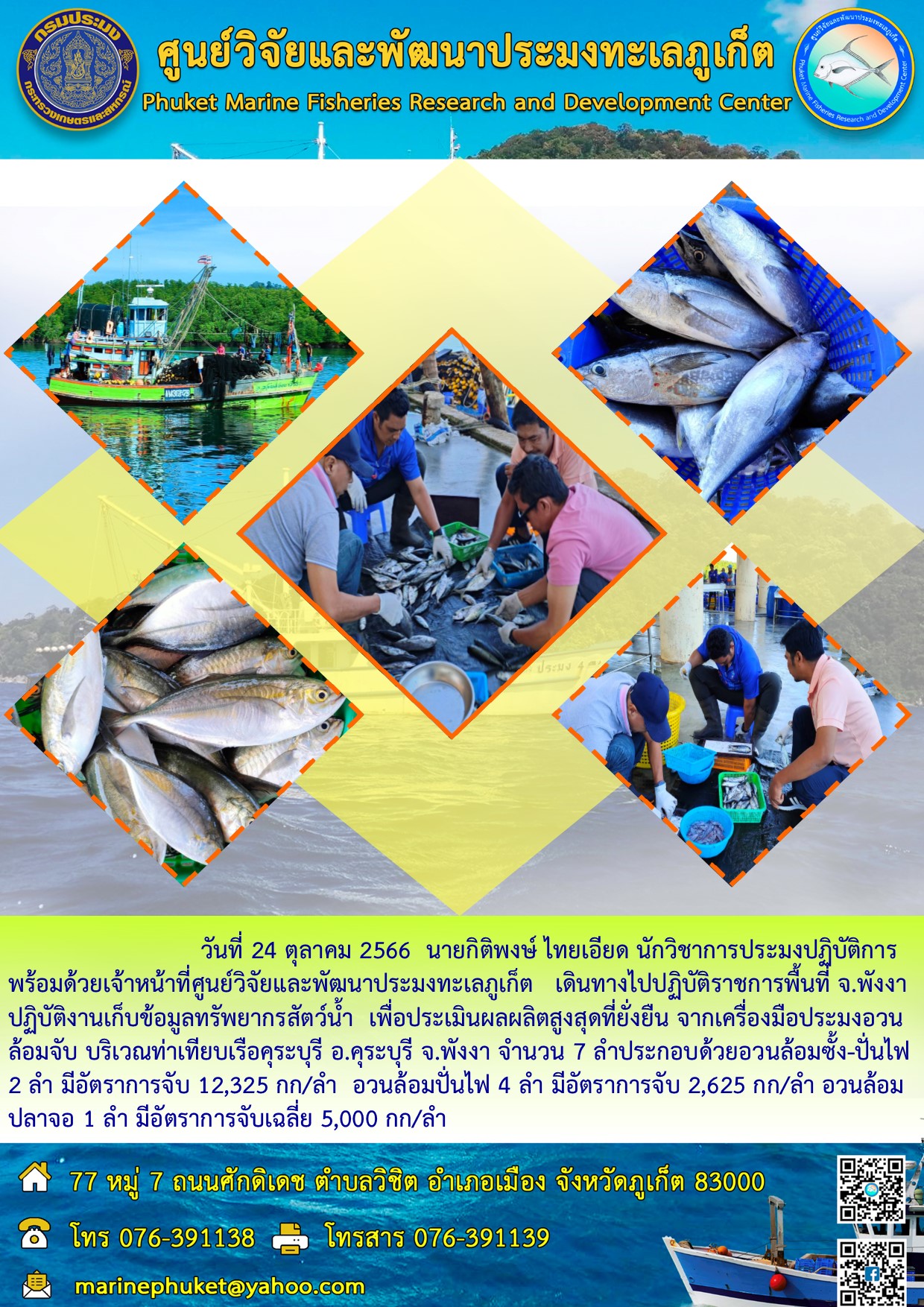 วันที่ 24 ตุลาคม 2566 นายกิติพงษ์ ไทยเอียด นักวิชาการประมงปฏิบัติการพร้อมด้วยเจ้าหน้าที่ศูนย์วิจัยและพัฒนาประมงทะเลภูเก็ต เดินทางไปปฏิบัติราชการพื้นที่ จ.พังงา ปฏิบัติงานเก็บข้อมูลทรัพยากรสัตว์น้ำ เพื่อประเมินผลผลิตสูงสุดที่ยั่งยืน จากเครื่องมือประมงอวนล้อมจับ บริเวณท่าเทียบเรือคุระบุรี อ.คุระบุรี จ.พังงา จำนวน 7 ลำประกอบด้วยอวนล้อมซั้ง-ปั่นไฟ 2 ลำ มีอัตราการจับ 12,325 กก/ลำ อวนล้อมปั่นไฟ 4 ลำ มีอัตราการจับ 2,625 กก/ลำ อวนล้อมปลาขอ 1 ลำ มีอัตราการจับเฉลี่ย 5,000 กก/ลำ..คลิก