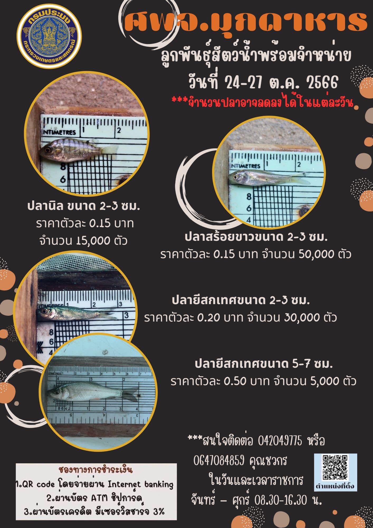 ลูกพันธุ์สัตว์น้ำพร้อมจำหน่าย ระหว่างวันที่ 24 ต.ค.-27 ต.ค. 66..คลิก