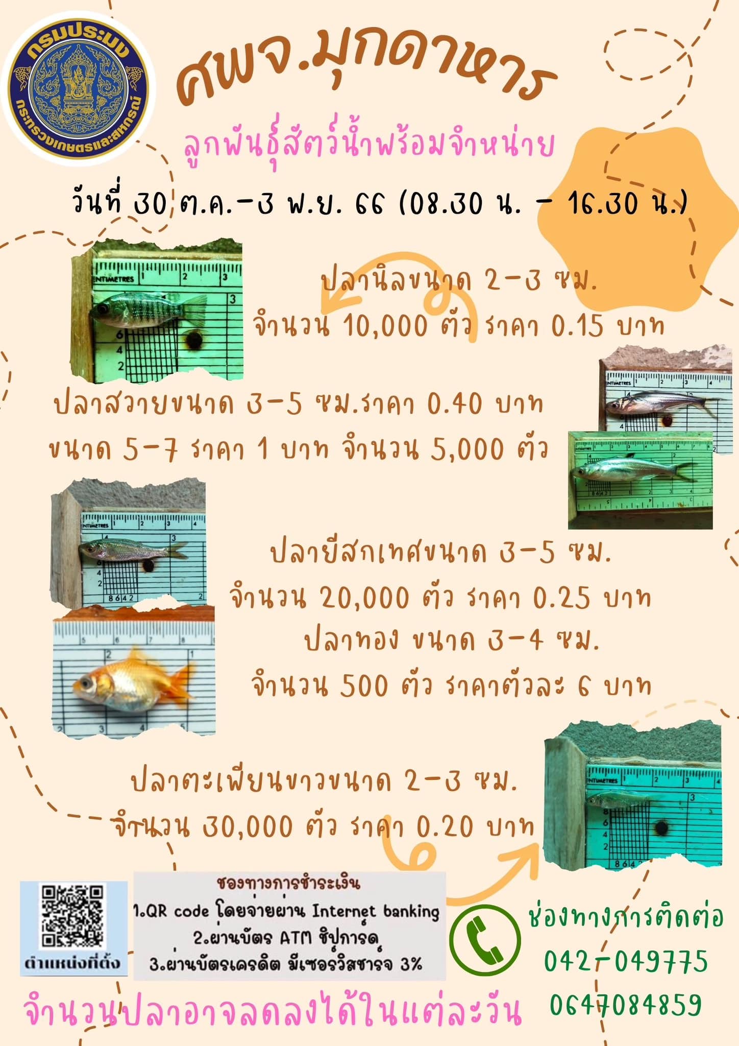 ลูกพันธุ์สัตว์น้ำพร้อมจำหน่าย ระหว่างวันที่ 30 ต.ค.-3 พ.ย. 66..คลิก