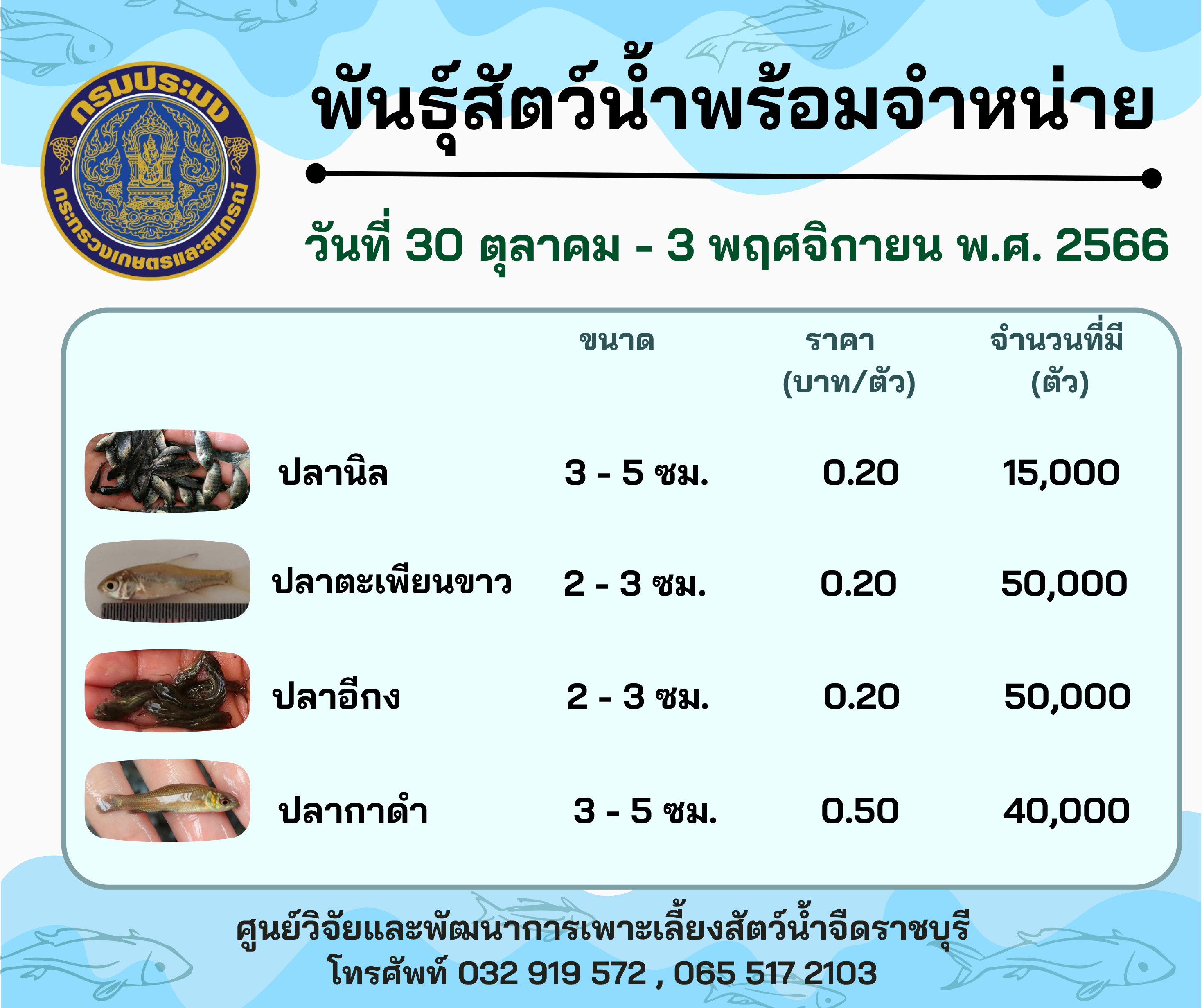 ลูกพันธุ์สัตว์น้ำพร้อมจำหน่าย ประจำวันที่ 30 ตุลาคม - 3 พฤศจิกายน พ.ศ. 2566..คลิก