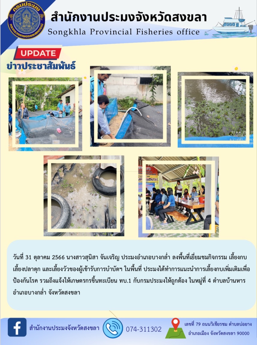วันที่ 31 ตุลาคม 2566 นางสาวสุนิสา จันเจริญ ประมงอำเภอบางกล่ำ ลงพื้นที่เยี่ยมชมกิจกรรม เลี้ยงกบ เลี้ยงปลาดุก และเลี้ยงวัวของผู้เข้ารับการบำบัดฯ ในพื้นที่ ประมงได้ทำการแนะนำการเลี้ยงกบเพิ่มเติมเพื่อป้องกันโรค รวมถึงแจ้งให้เกษตรกรขึ้นทะเบียน ทบ.1 กับกรมประมงให้ถูกต้อง ในหมู่ที่ 4 ตำบลบ้านหาร อำเภอบางกล่ำ จังหวัดสงขลา..คลิก