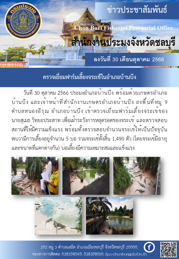 ตรวจเยี่ยมฟาร์มเลี้ยงจระเข้ในอำเภอบ้านบึง..คลิก