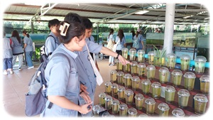 คณะนักศึกษาเข้าดูงานด้านการเพาะเลี้ยงสัตว์น้ำจืด..คลิก