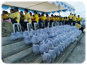 โครงการปล่อยพันธุ์ปลาสู่แหล่งน้ำธรรมชาติ เนื่องในวันปิยมหาราช..คลิก