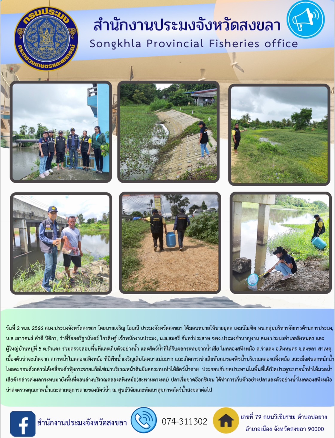 วันที่ 2 พ.ย. 2566 สนง.ประมงจังหวัดสงขลา โดยนายเจริญ โอมณี ประมงจังหวัดสงขลา ได้มอบหมายให้นายยุคล เหมบัณฑิต หน.กลุ่มบริหารจัดการด้านการประมง, น.ส.เสาวคนธ์ คำดี นิติกร, ว่าที่ร้อยตรีฐานันดร์ ไกรดิษฐ์ เจ้าพนักงานประมง, น.ส.สมศรี จันทร์ประสาท จพง.ประมงชำนาญงาน สนง.ประมงอำเภอสิงหนคร และผู้ใหญ่บ้านหมู่ที่ 5 ต.รำแดง ร่วมตรวจสอบพื้นที่และเก็บตัวอย่างน้ำ และสัตว์น้ำที่ได้รับผลกระทบจากน้ำเสีย ในคลองสทิงหม้อ ต.รำแดง อ.สิงหนคร จ.สงขลา สาเหตุเบื้องต้นน่าจะเกิดจาก สภาพน้ำในคลองสทิงหม้อ ที่มีพืชน้ำเจริญเติบโตหนาแน่นมาก และเกิดการเน่าเสียทับถมของพืชน้ำบริเวณคลองสทิ้งหม้อ และเมื่อฝนตกหนักน้ำไหลตะกอนดังกล่าวได้เคลื่อนตัวฟุ้งกระจายแก็สไข่เน่าบริเวณหน้าดินมีผลกระทบทำให้สัตว์น้ำตาย  ประกอบกับชลประทานในพื้นที่ได้เปิดประตูระบายน้ำทำให้มวลน้ำเสียดังกล่าวส่งผลกระทบมายังพื้นที่ตอนล่างบริเวณคลองสทิงหม้อ(สะพานตางหน) ปลาเริ่มขาดอ๊อกซิเจน ได้ทำการเก็บตัวอย่างปลาและตัวอย่างน้ำในคลองสทิงหม้อ นำส่งตรวจคุณภาพน้ำและสาเหตุการตายของสัตว์น้ำ ณ ศูนย์วิจัยและพัฒนาสุขภาพสัตว์น้ำสงขลาต่อไป