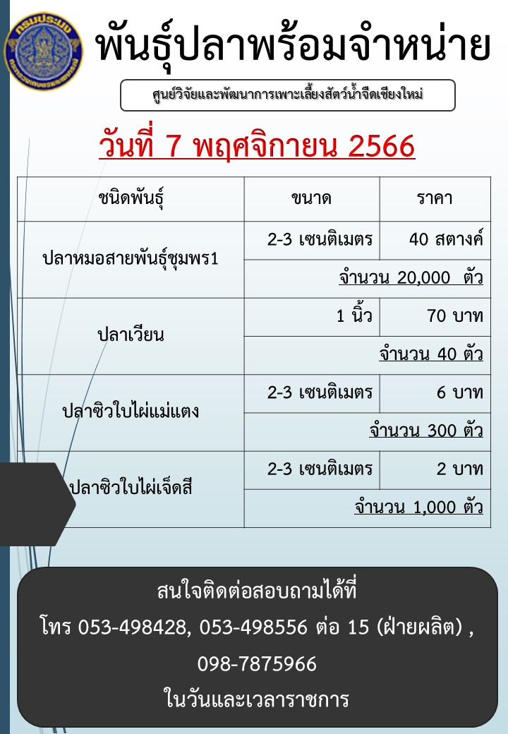 พันธุ์ปลาพร้อมจำหน่าย วันที่ 7 พฤศจิกายน 2566