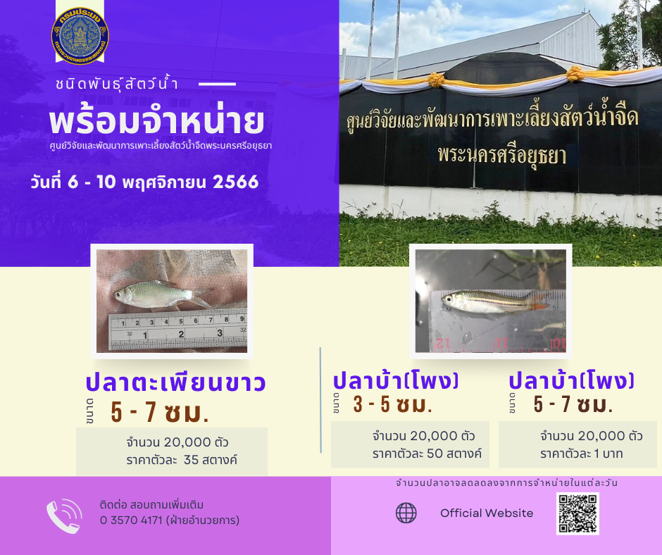 ชนิดพันธ์ุสัตว์น้ำพร้อมจำหน่าย (6-10 พฤศจิกายน 2566) ศพจ.พระนครศรีอยุธยา..คลิก