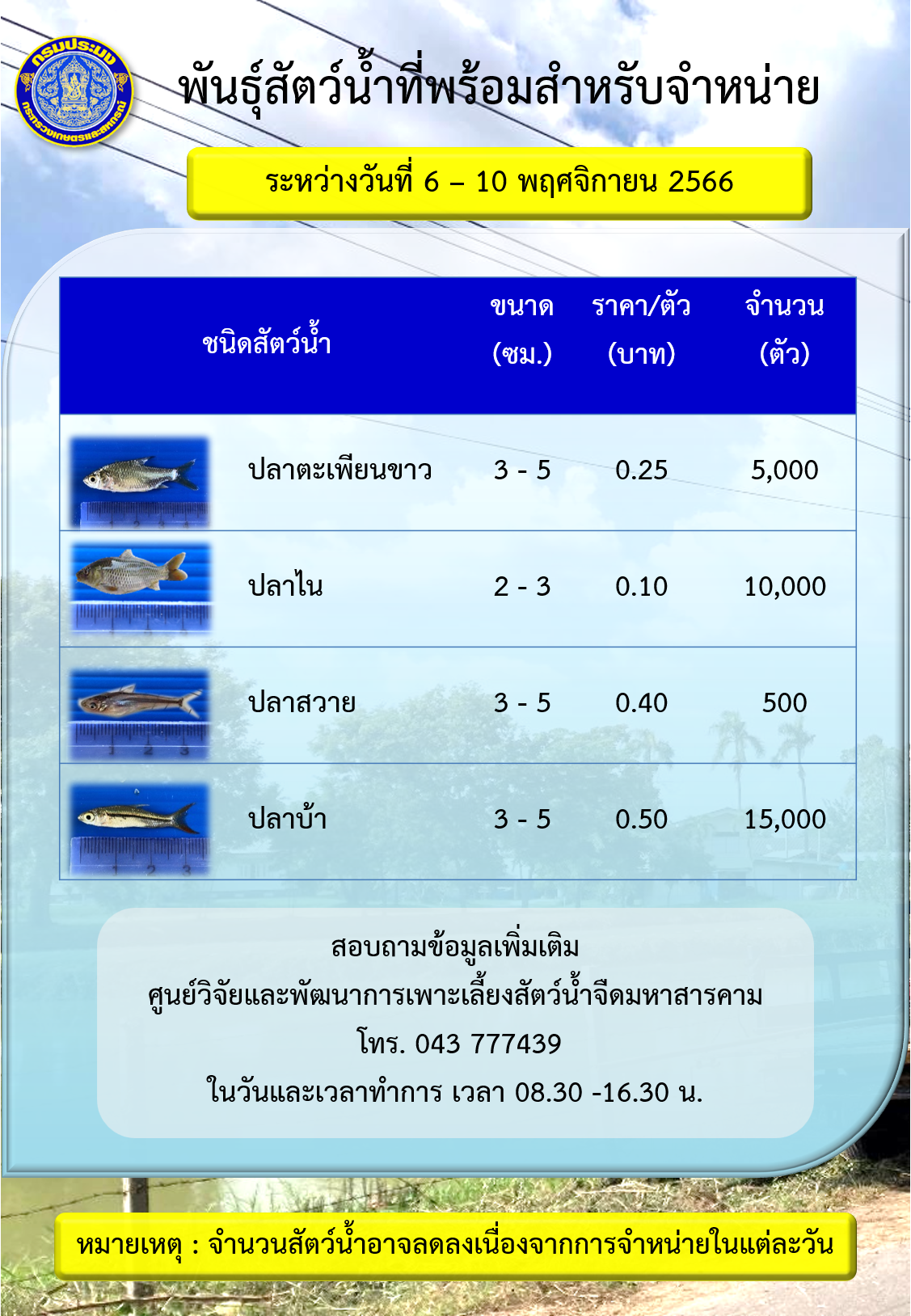 พันธุ์สัตว์น้ำที่พร้อมสำหรับจำหน่าย ระหว่างวันที่ 6 – 10 พฤศจิกายน 2566..คลิก